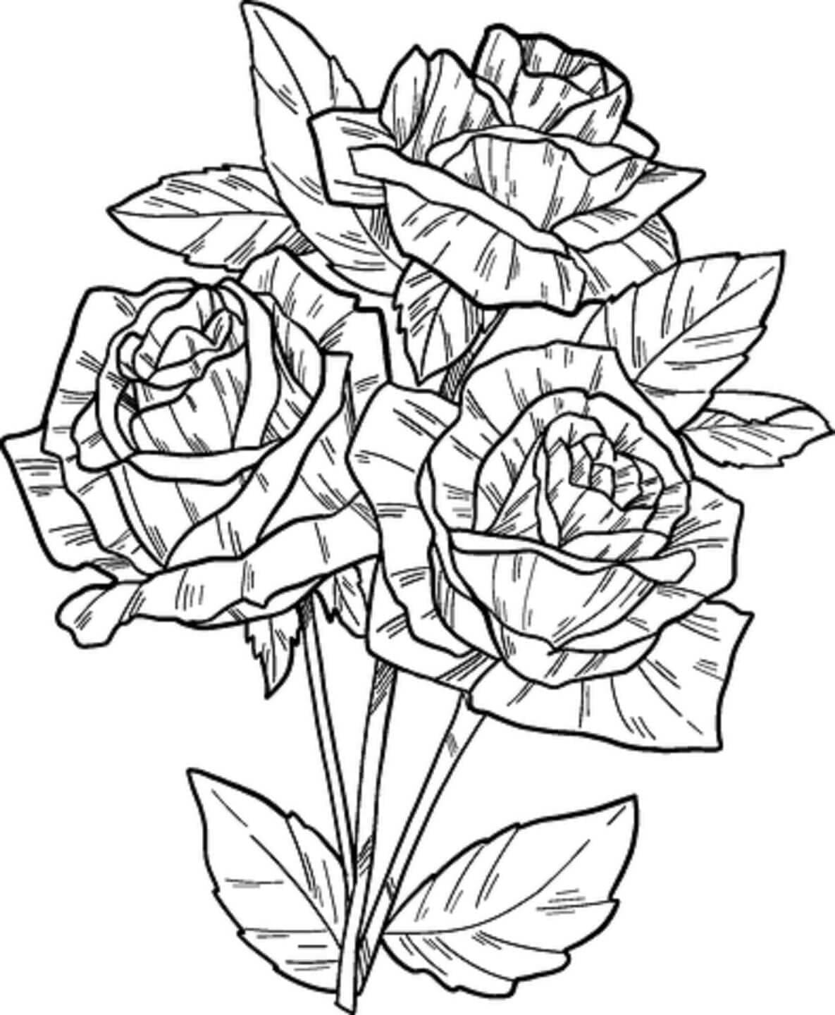 Desenhos de Flores Rosas para Colorir