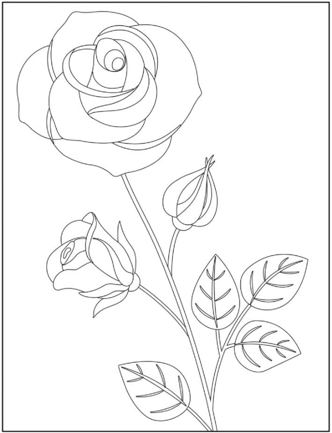 Desenhos de Imprimivel Rosa para Colorir