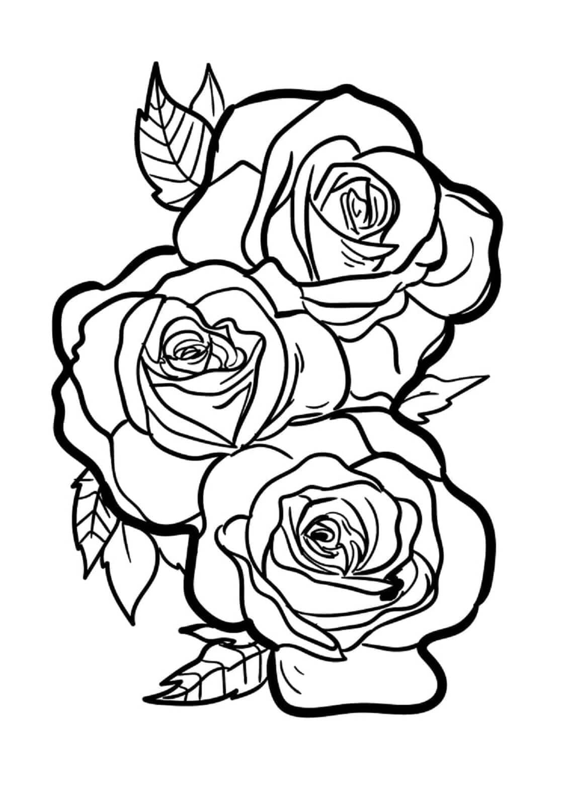 Desenhos de Lindas Rosas para Colorir