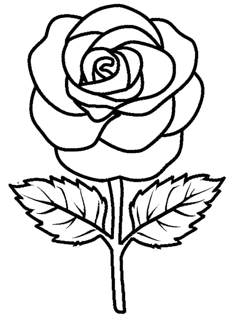 Desenhos de Rosa Grátis para Crianças para Colorir