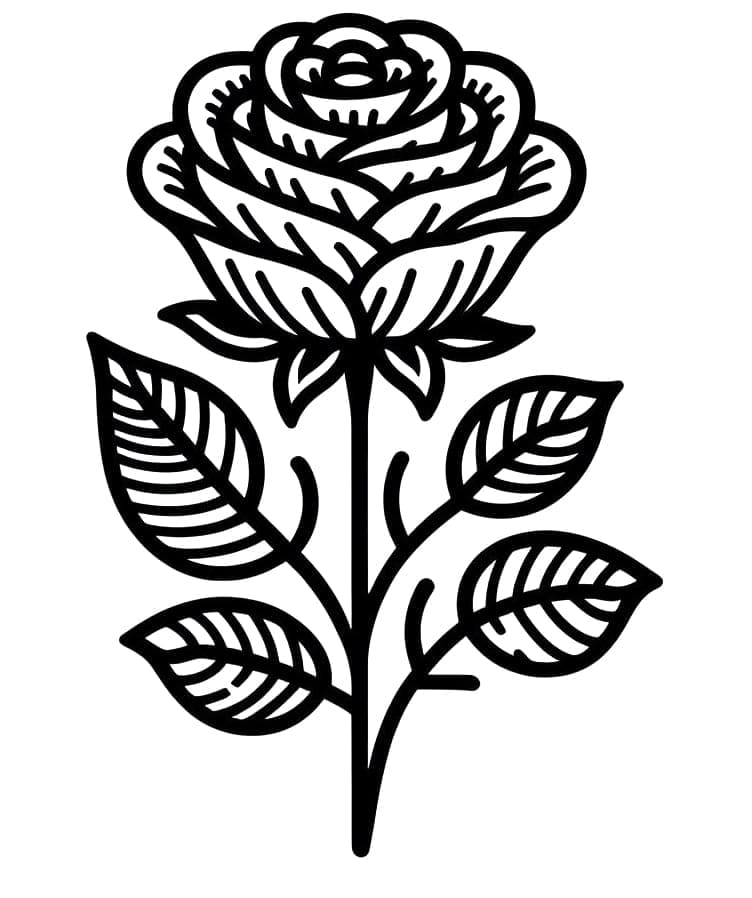 Desenhos de Rosa Grátis para Colorir
