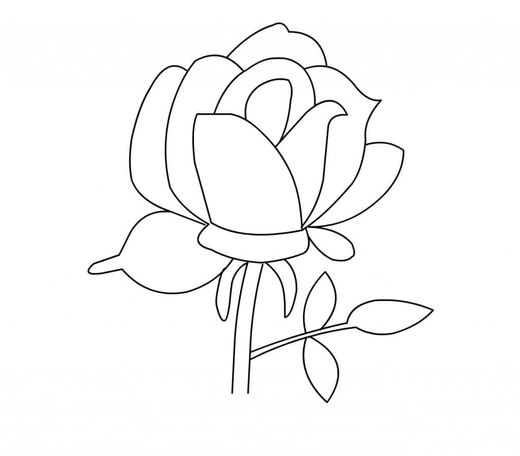 Desenhos de Rosa Muito Simples para Colorir