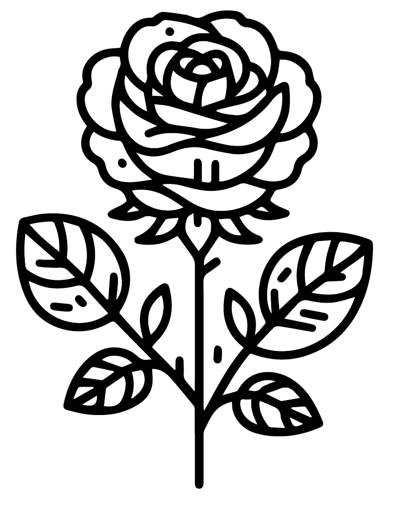 Desenhos de uma Flor Rosa para Colorir