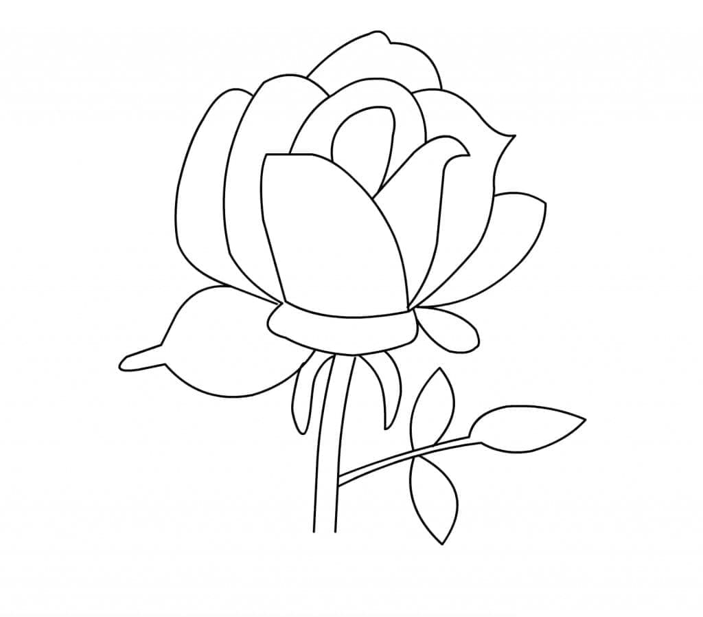 Desenhos de uma Rosa Muito Simples para Colorir