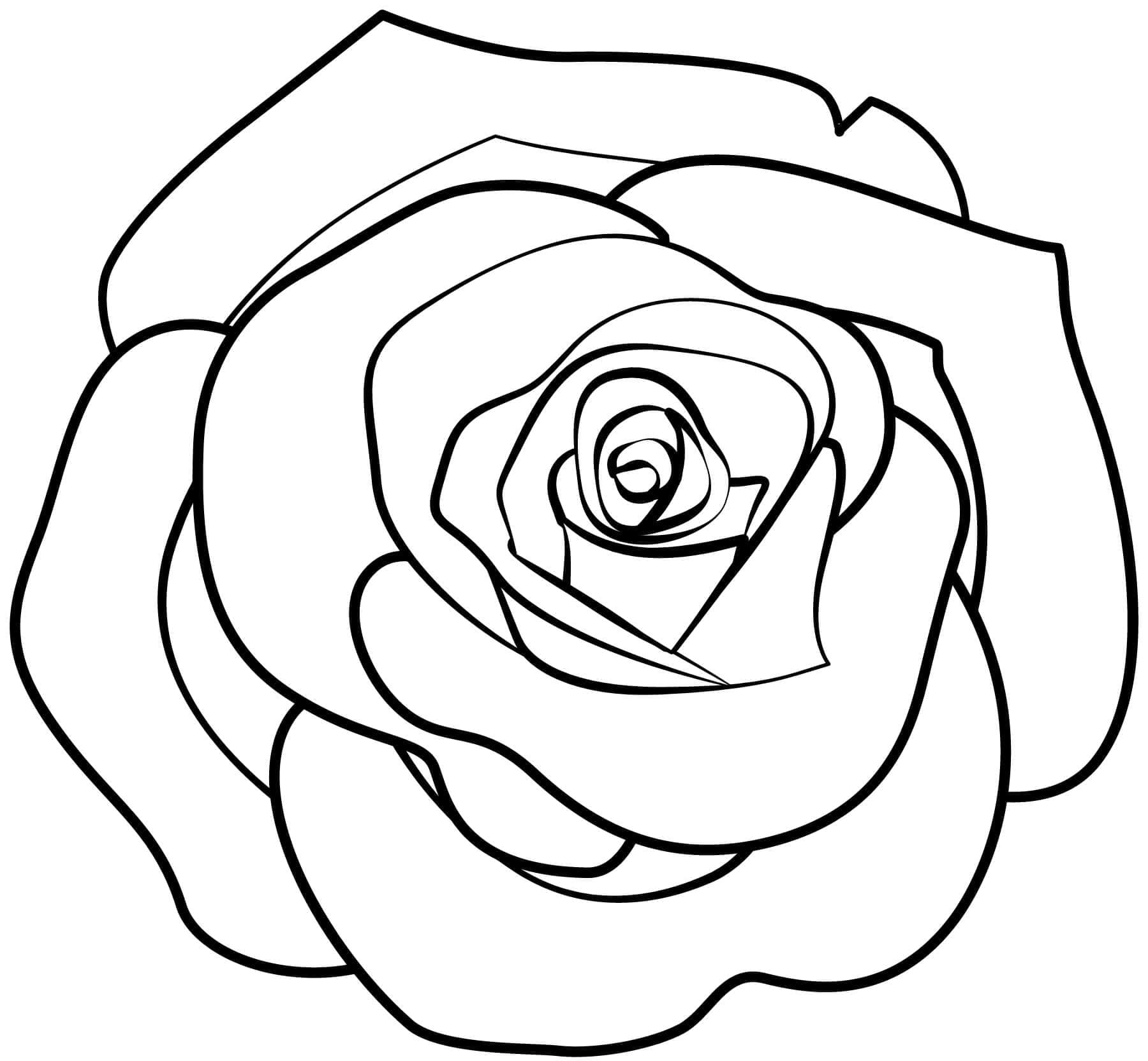 Desenhos de uma Rosa Simples para Colorir