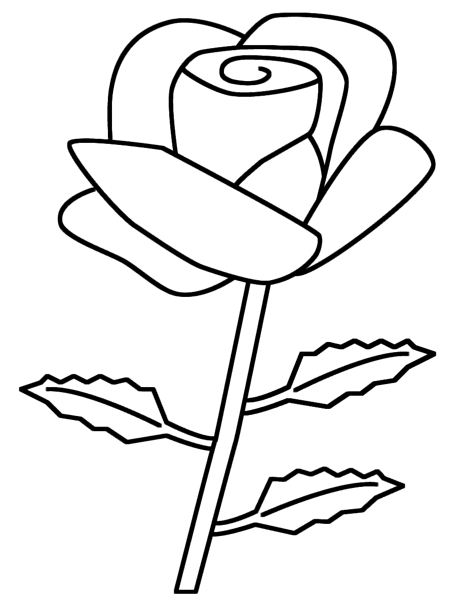 Desenho de uma Rosa Muito Simples para Baixar e Pintar Desenho de uma Rosa Muito Simples para Baixar e Pintar