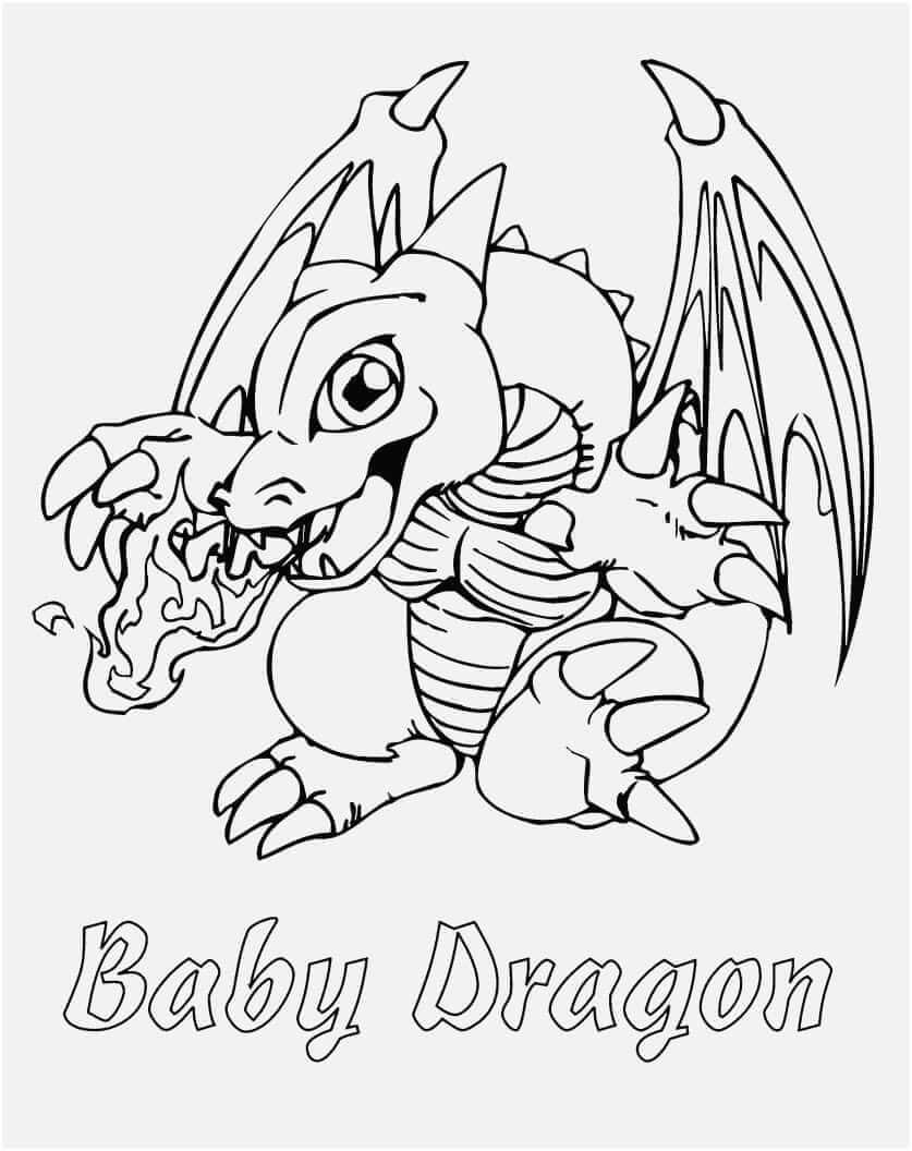 Desenho Imprimivel Dragão Bebê Skylanders para Colorir Pintar
