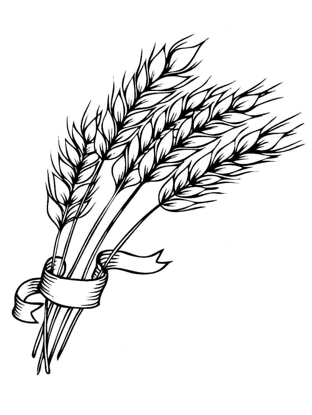 Desenho Pdf de Trigo Grátis para Pintar Desenho Pdf de Trigo Grátis para Pintar
