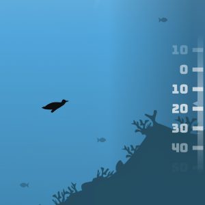 A Penguin’s Odyssey