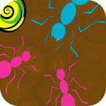 Ant Maze
