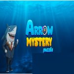 Arrow Mystery Puzzle