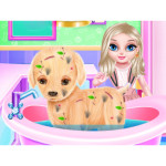 Baby Elsa Puppy Surgery