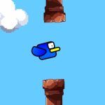 Bird in Danger