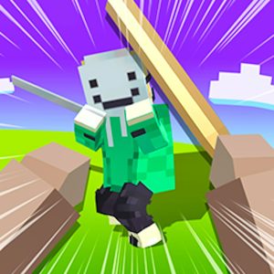 Block Craft 3D 2