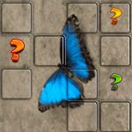 Butterfly Memory Match