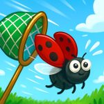 Catch Insect