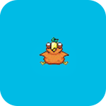 Crazy Bird