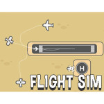 Flight Sim