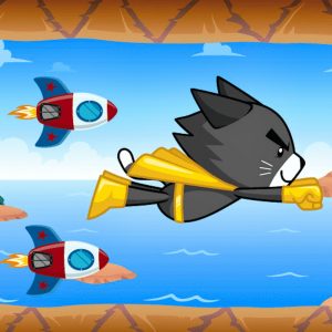 Flying Cat