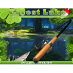 Forest Lake