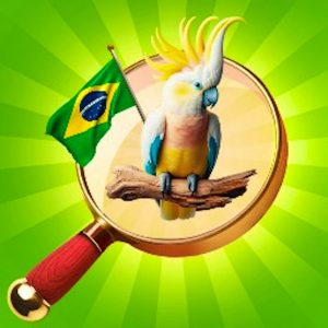 Hidden Objects Vacation in Brazil