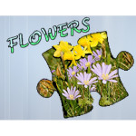 Jigsaw Puzzle: Flowers
