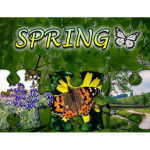 Jigsaw Puzzle: Spring