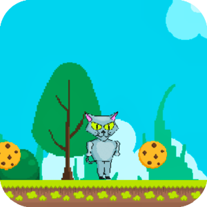 Kim Cat