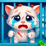 Kind Shelter – Animal Care and Treatment