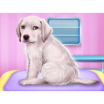 Labrador at the Doctor Salon