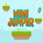 Mini Jumper