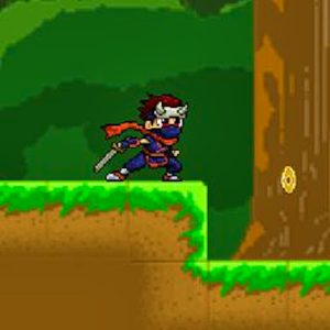 Ninja Warrior Adventure