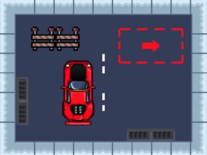 Parking Skills