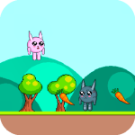 Rabbitii