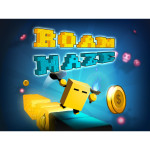 Roam Maze