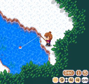 The Cozy Fishing