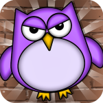 Tiny Owl
