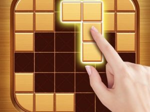 Wood Block Puzzle – Brain Game