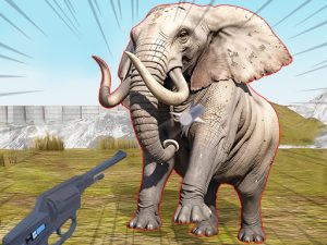 Zoo Anomaly Simulation